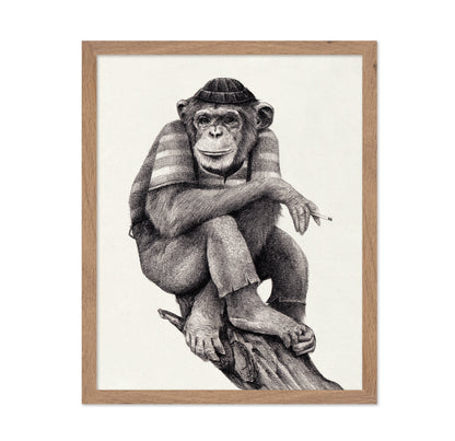 Chill Monkey