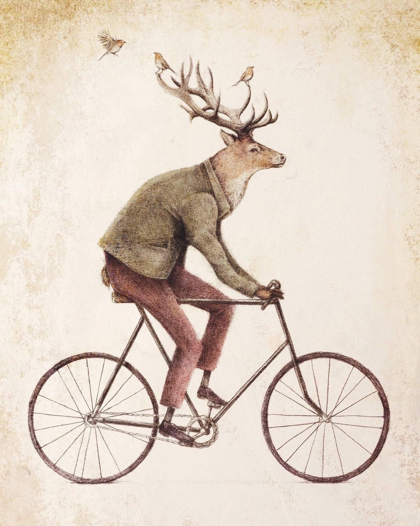 Gentle Rider