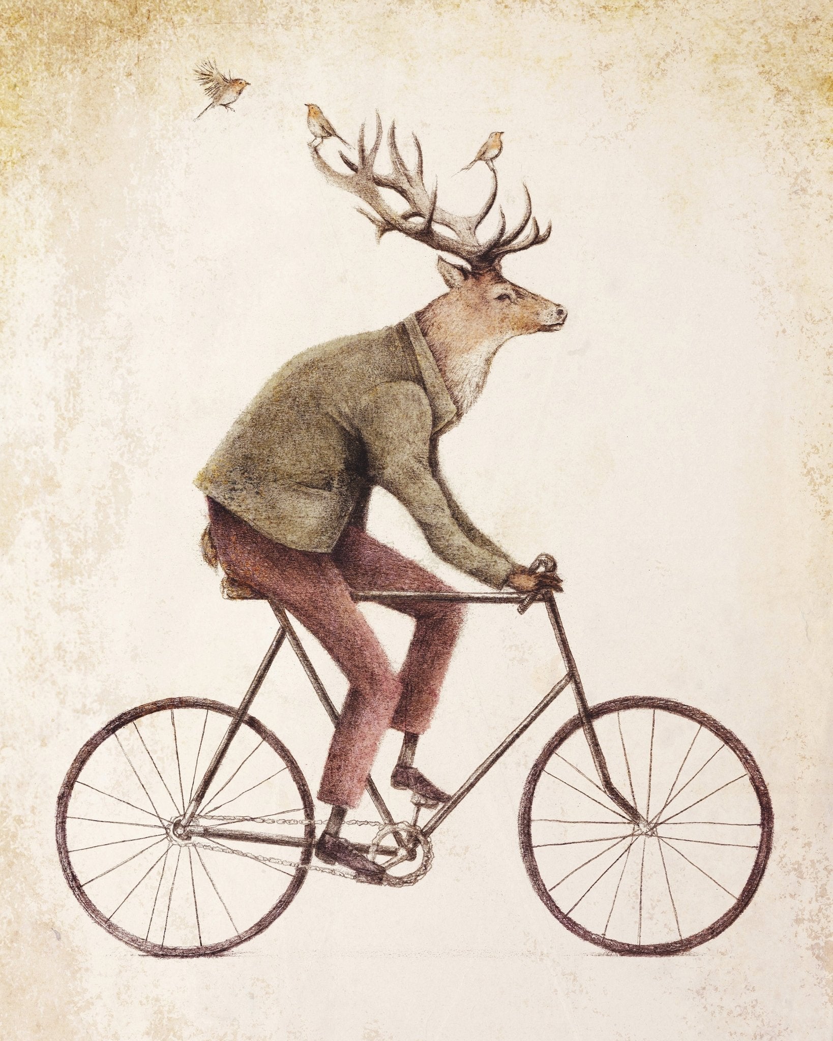 Gentle Rider