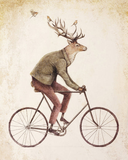 Gentle Rider