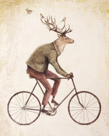 Gentle Rider