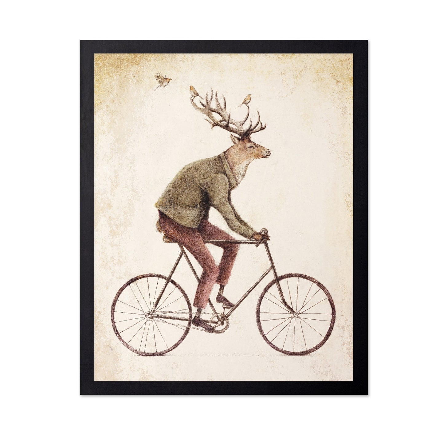 Gentle Rider