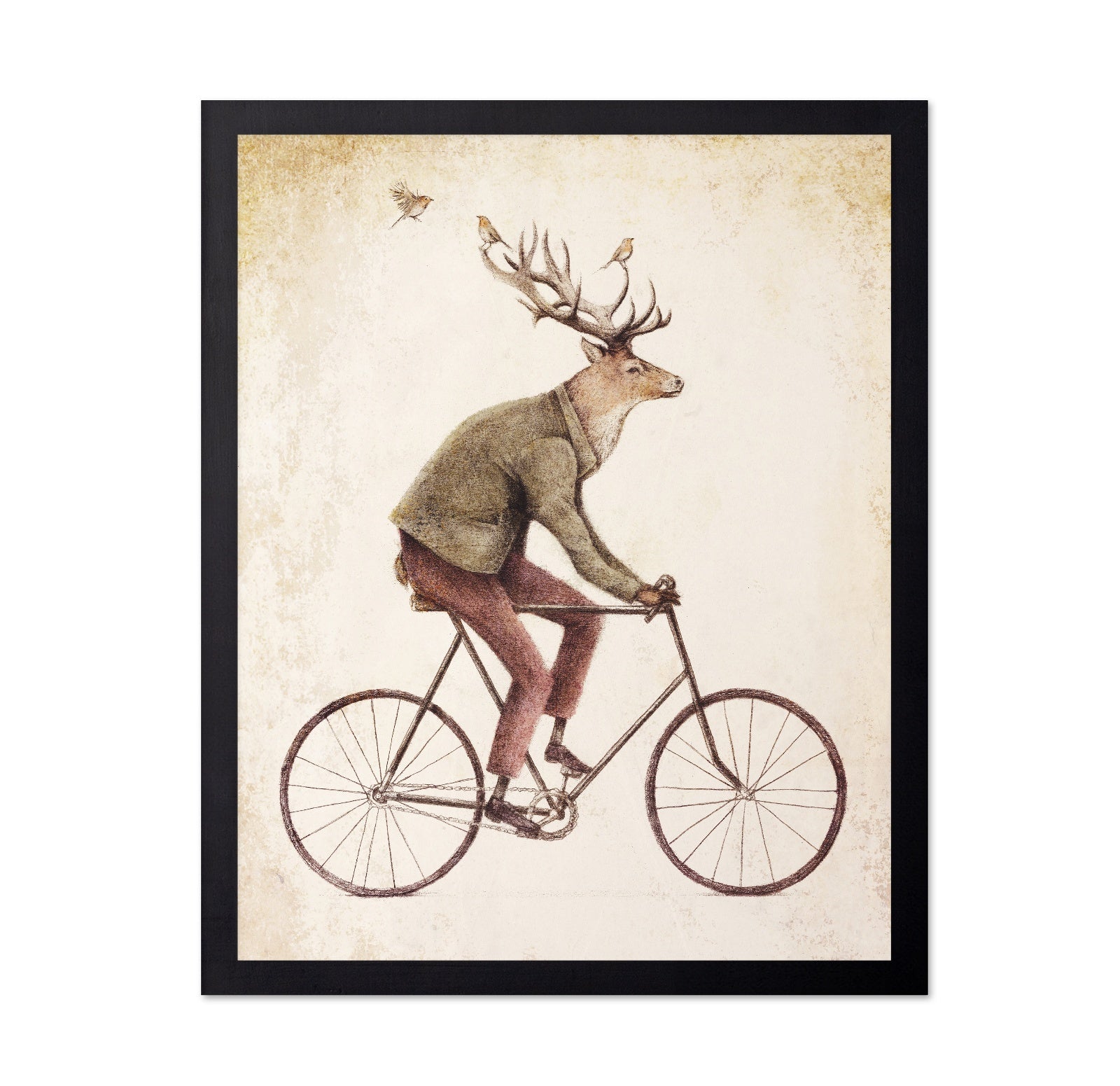 Gentle Rider