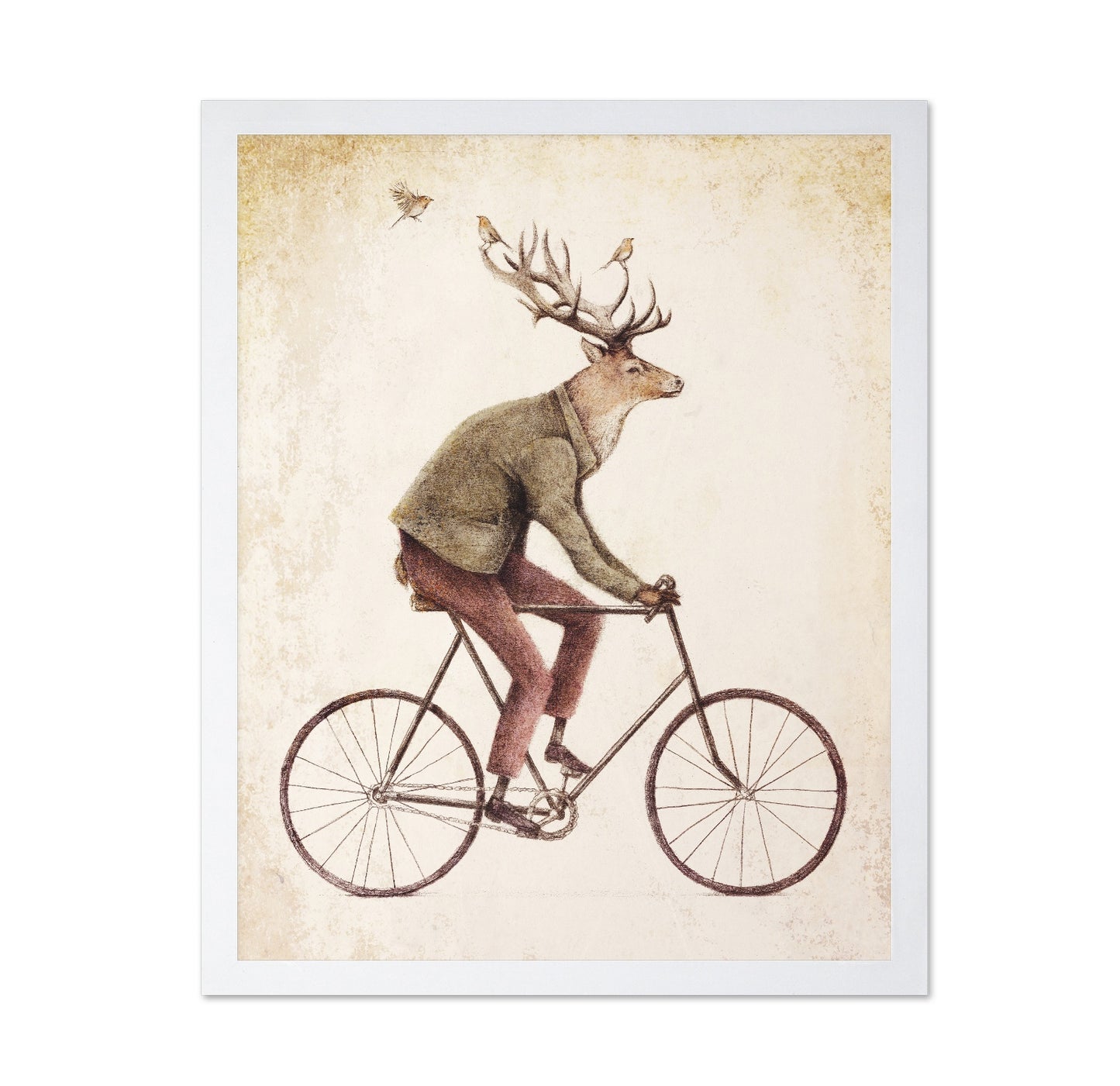Gentle Rider