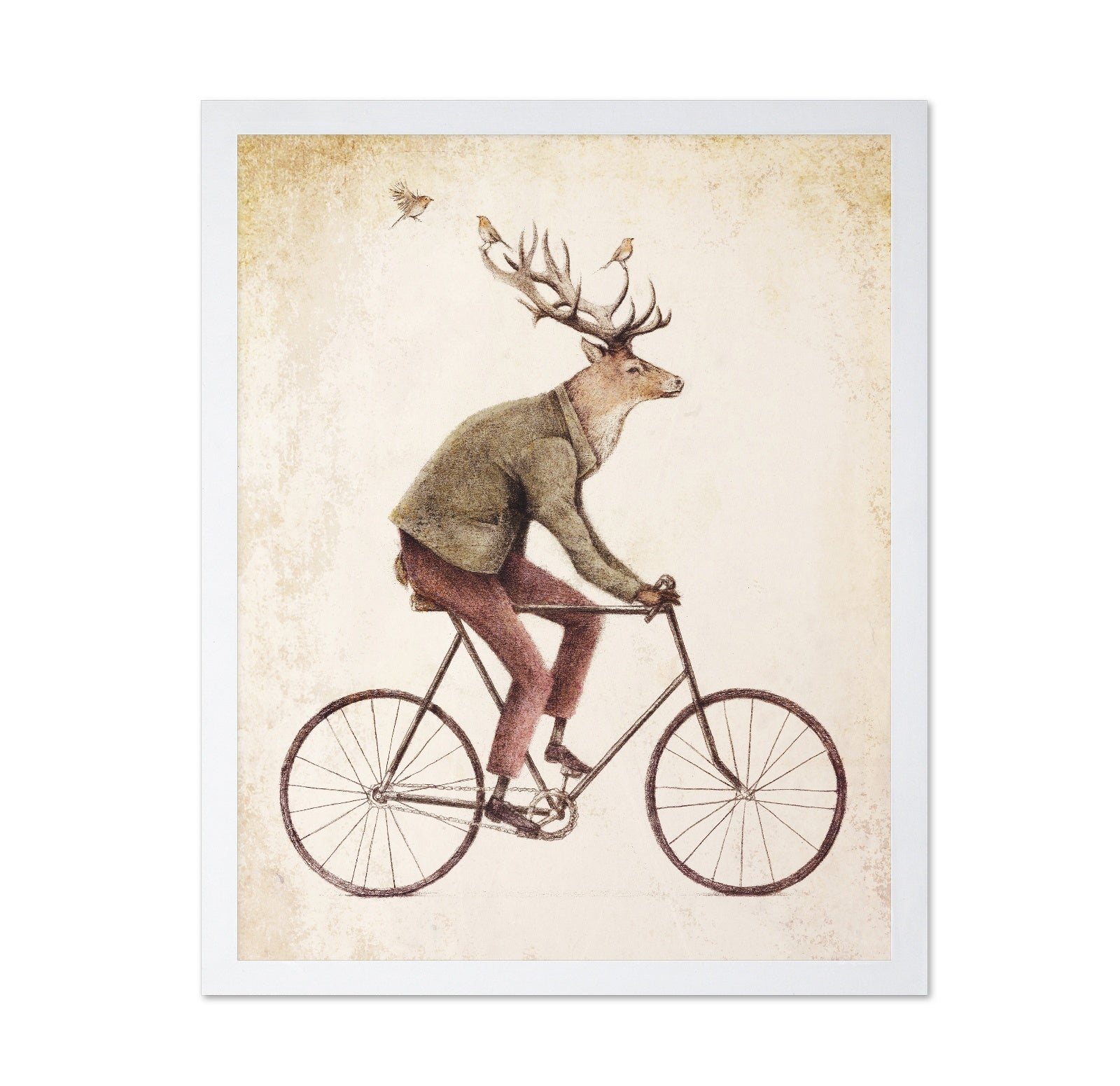 Gentle Rider