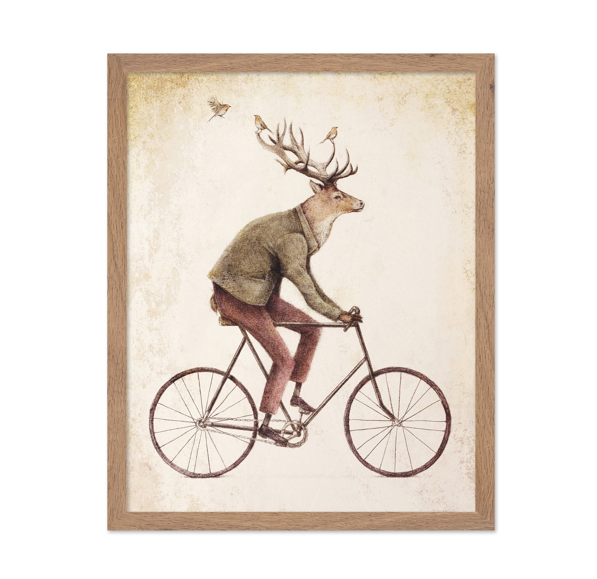Gentle Rider