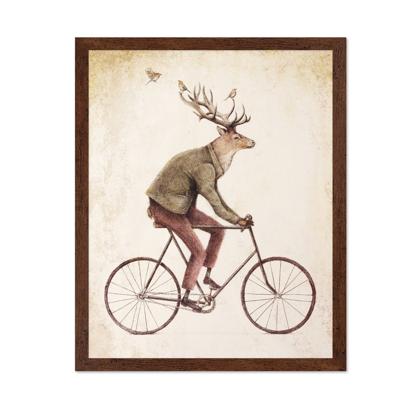 Gentle Rider