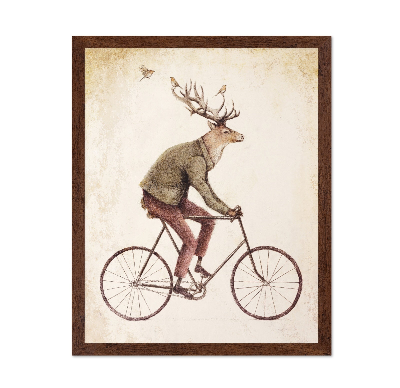 Gentle Rider