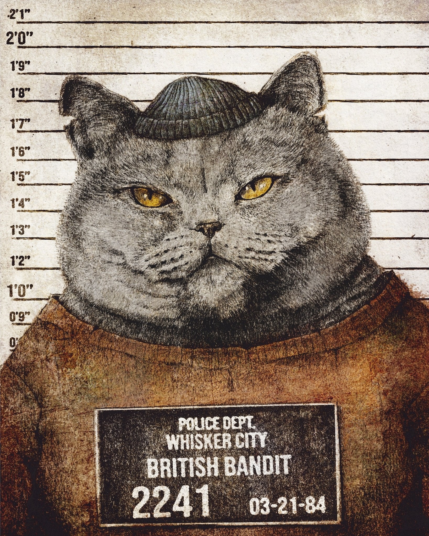 Bandit Cat