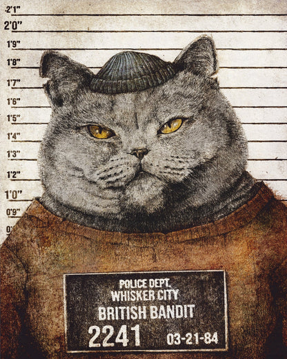 Bandit Cat