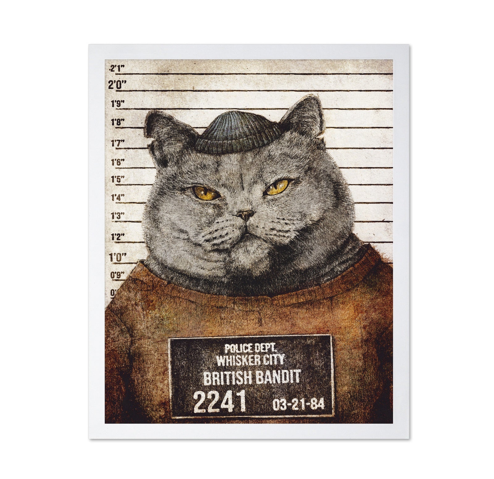 Bandit Cat