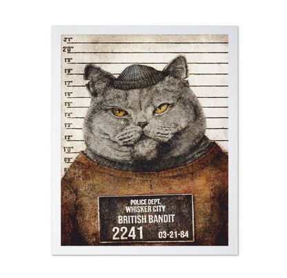 Bandit Cat