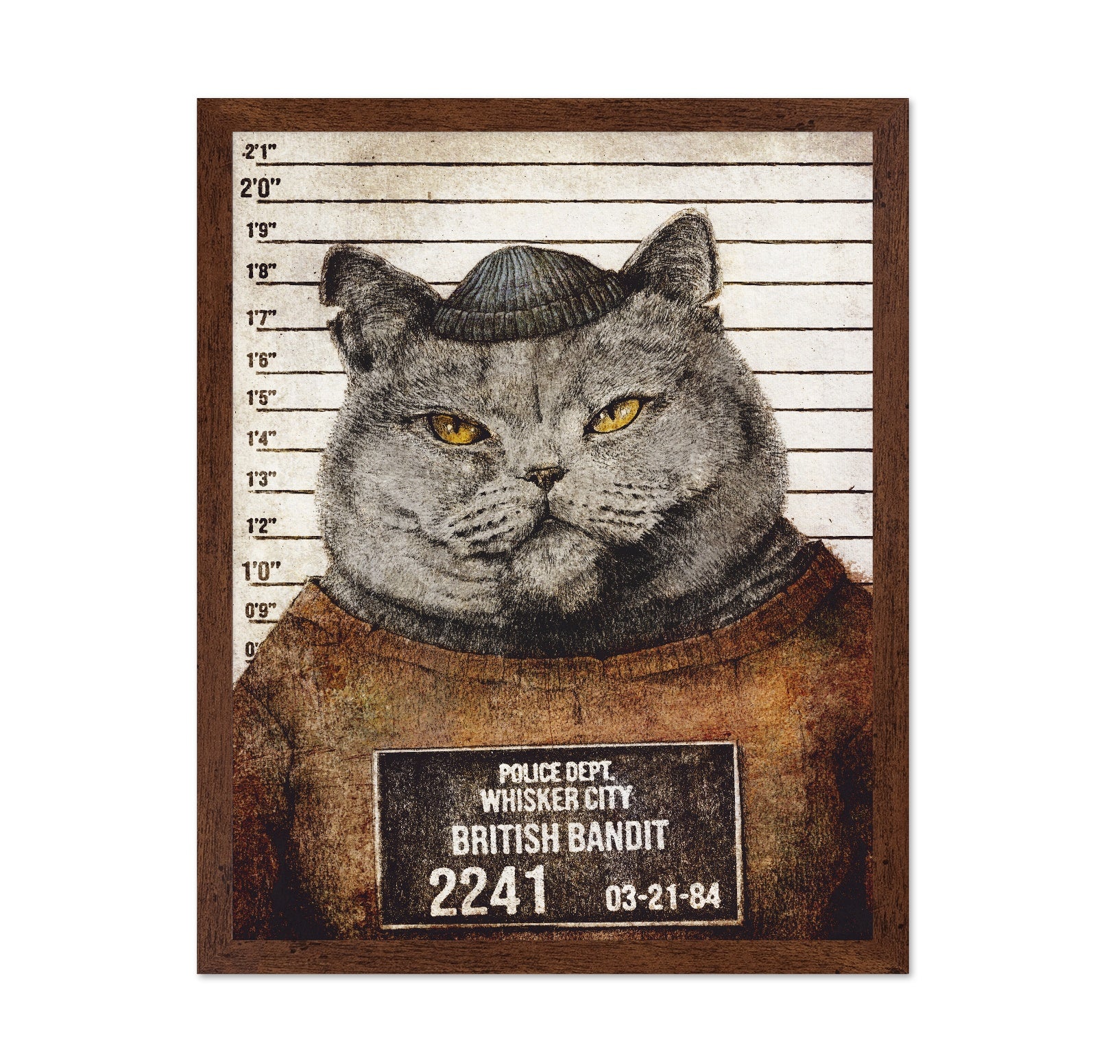 Bandit Cat