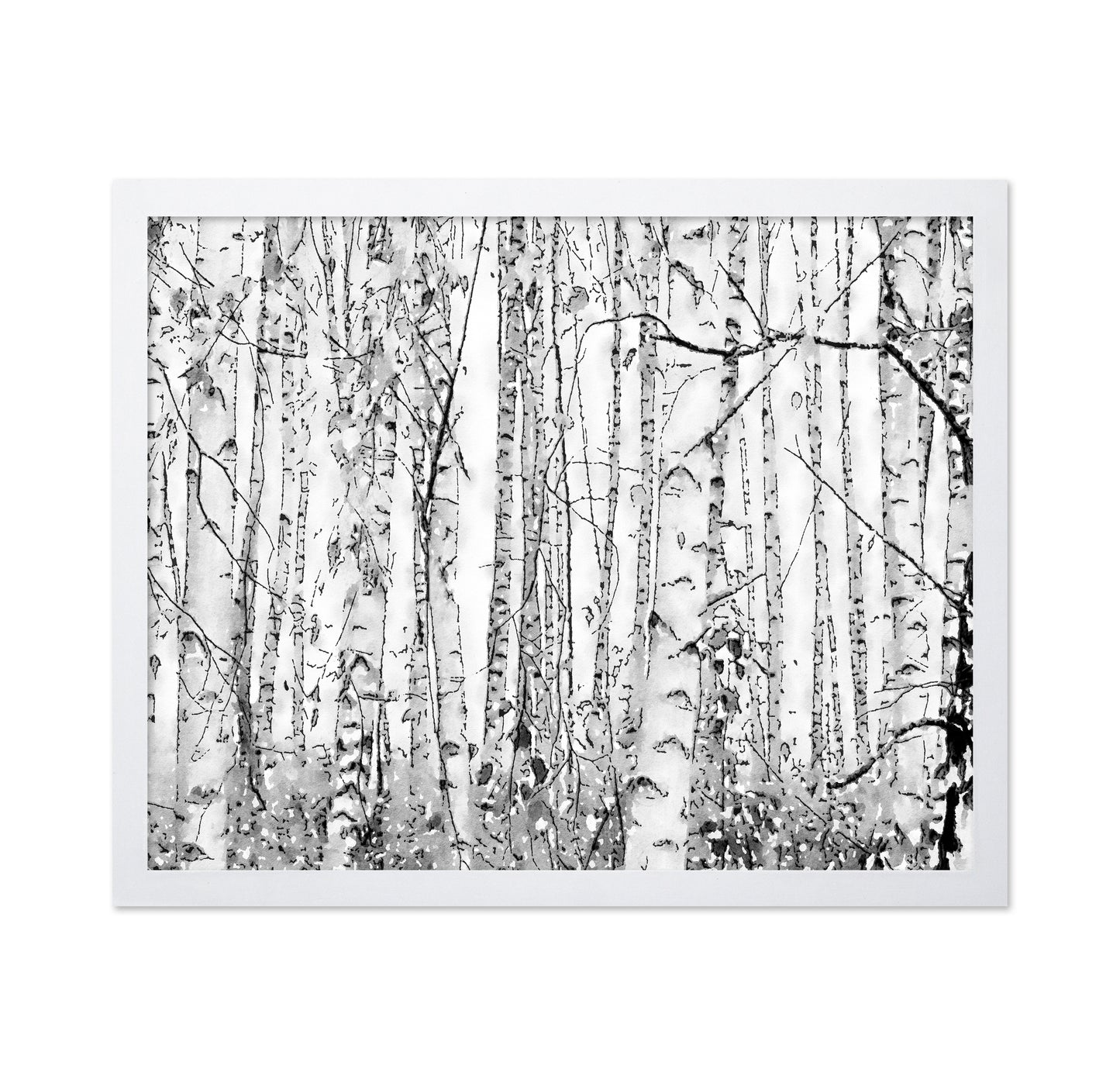 Silver Birches