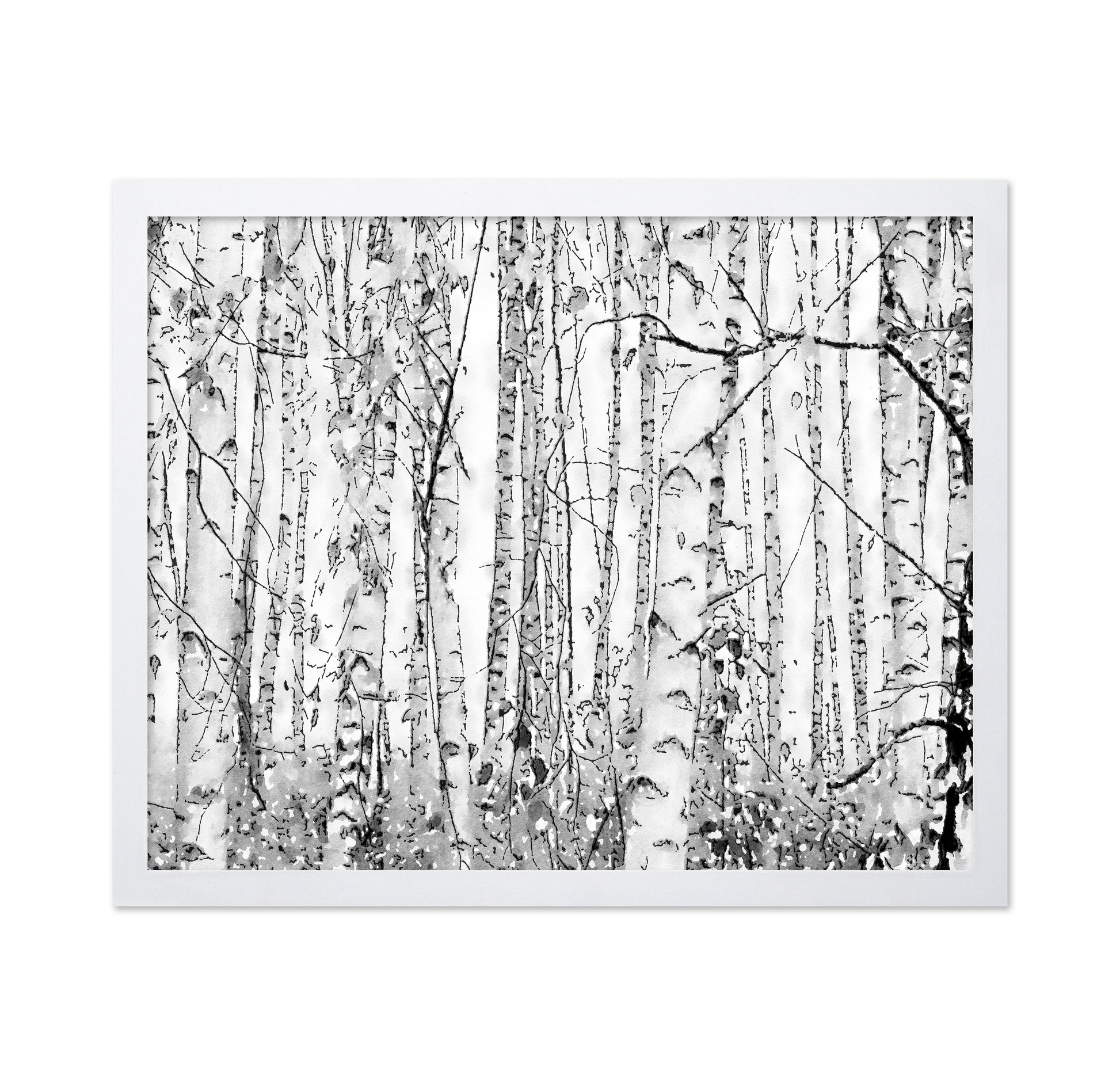 Silver Birches
