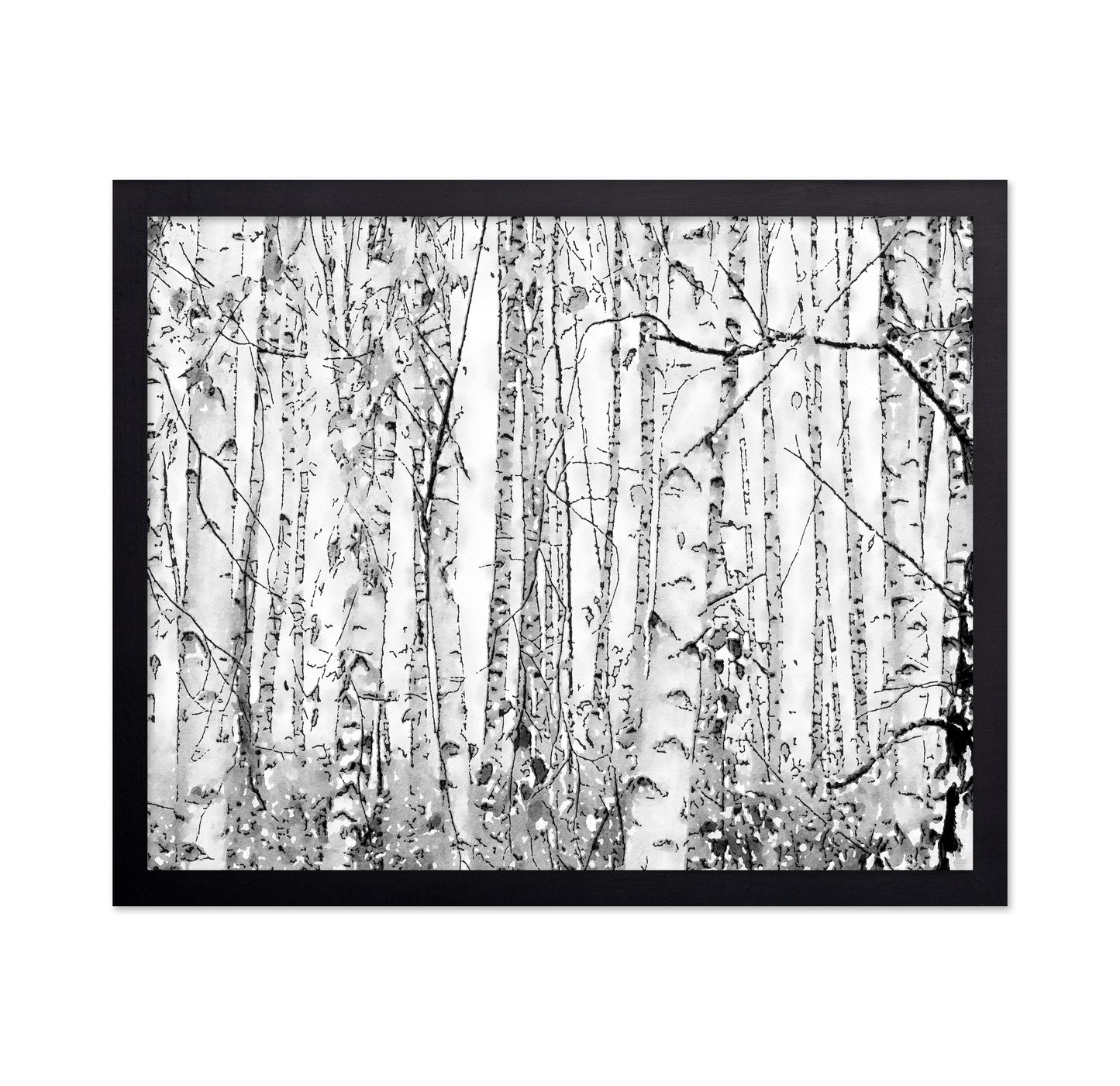 Silver Birches