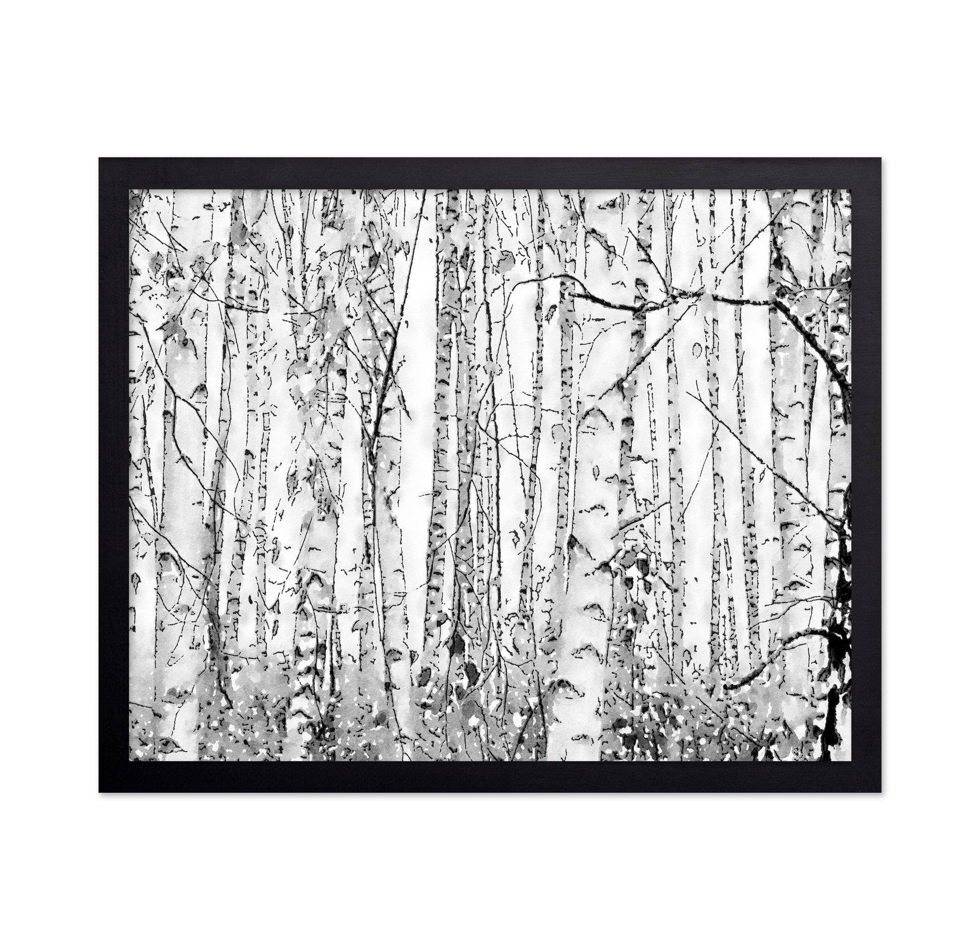 Silver Birches