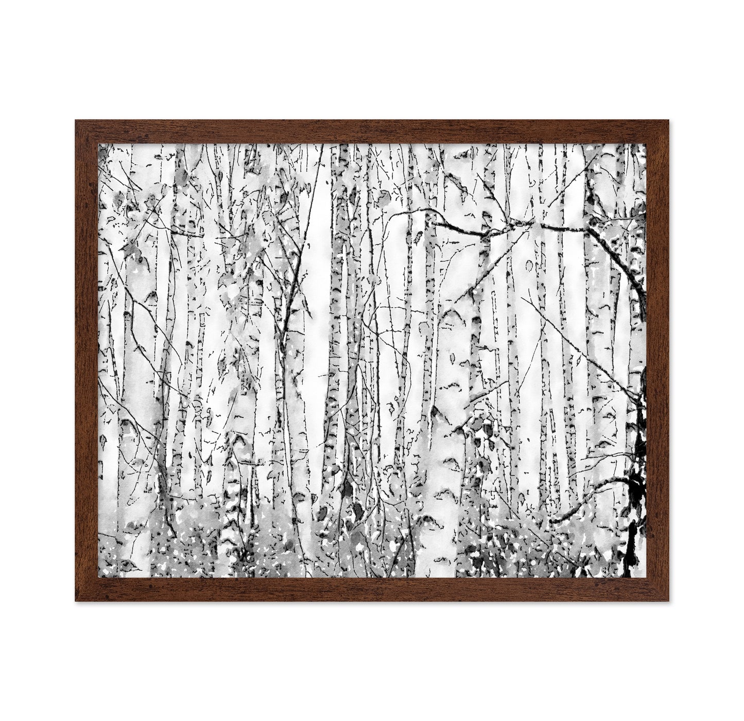 Silver Birches