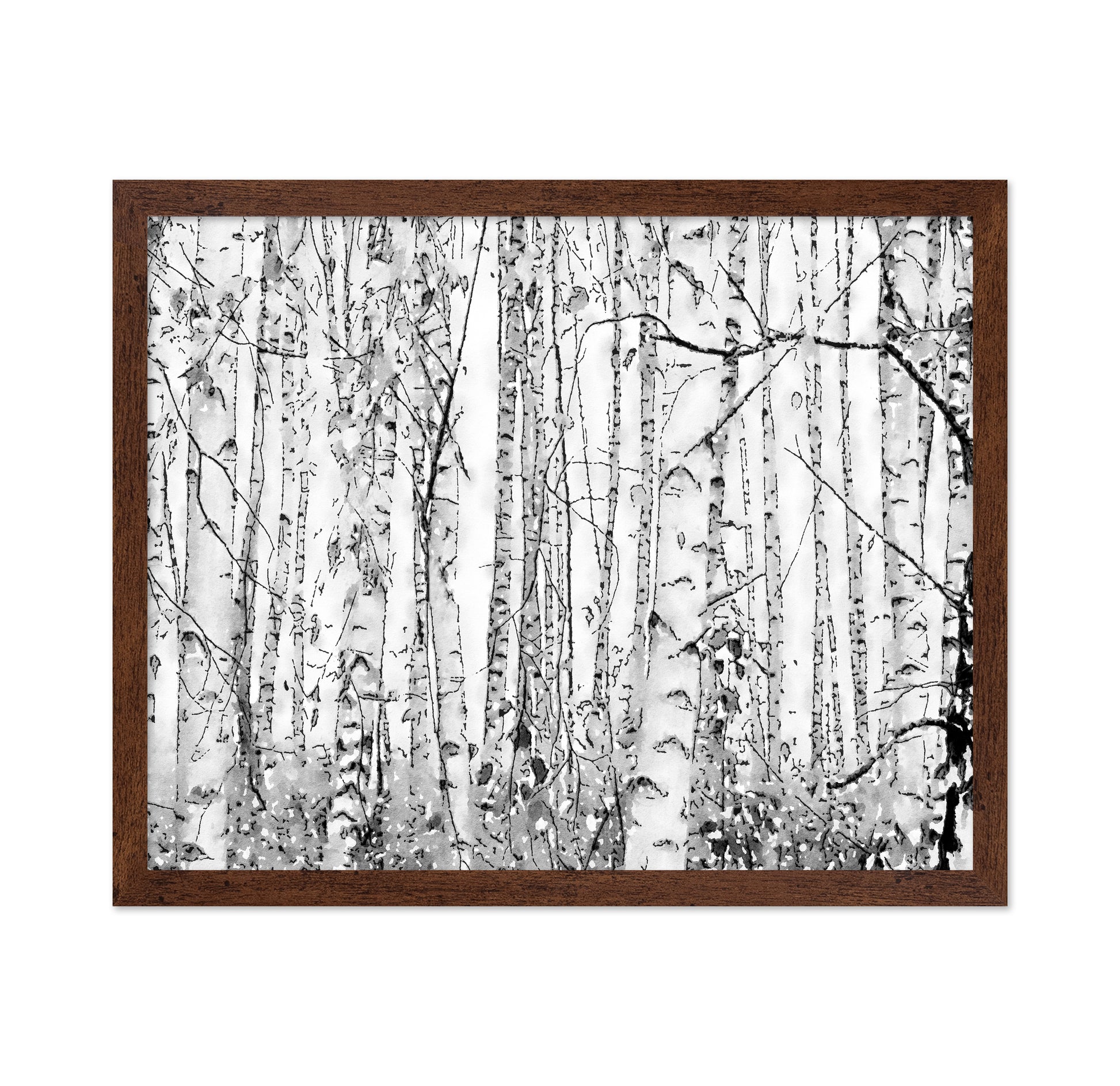 Silver Birches