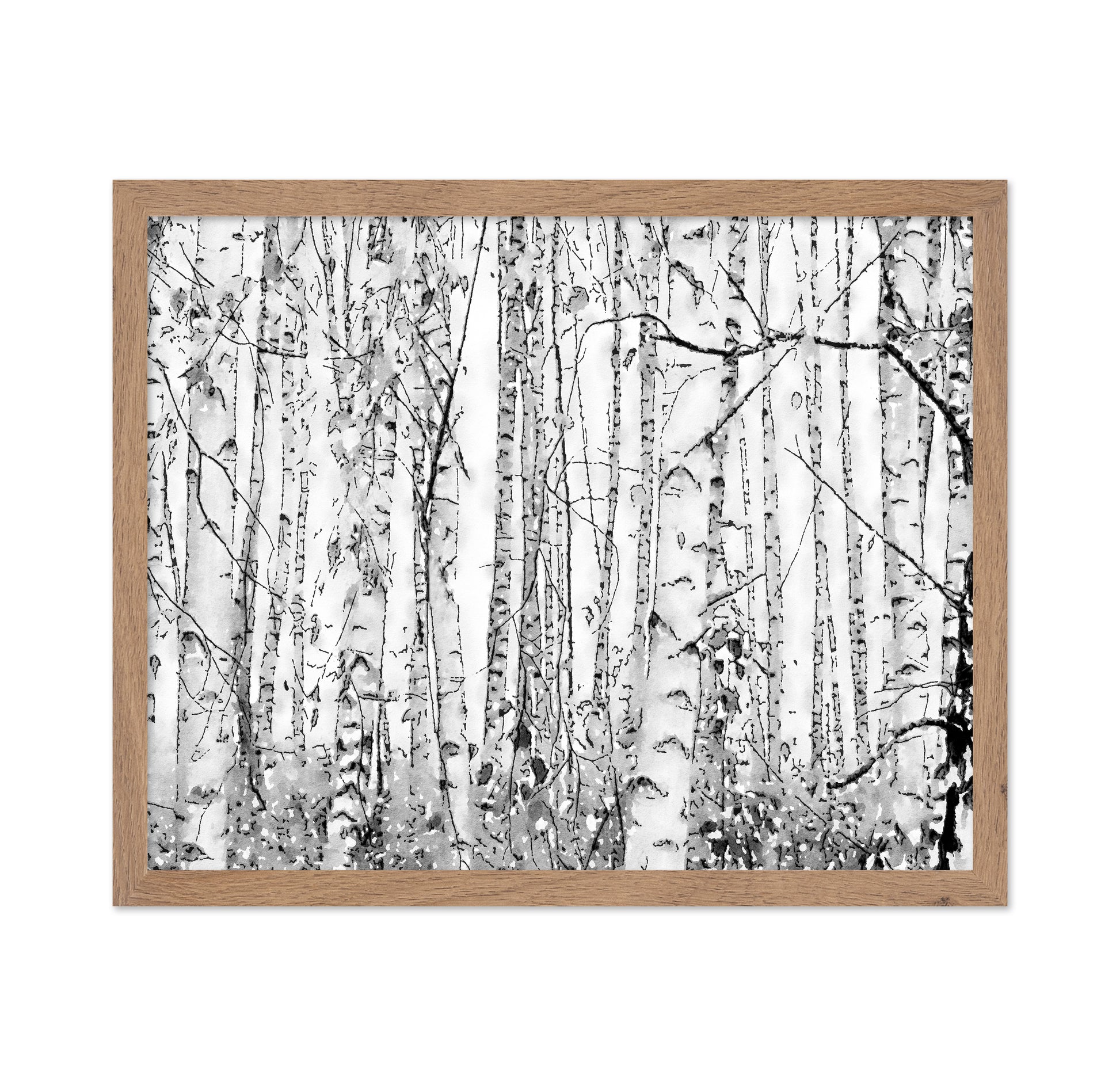 Silver Birches