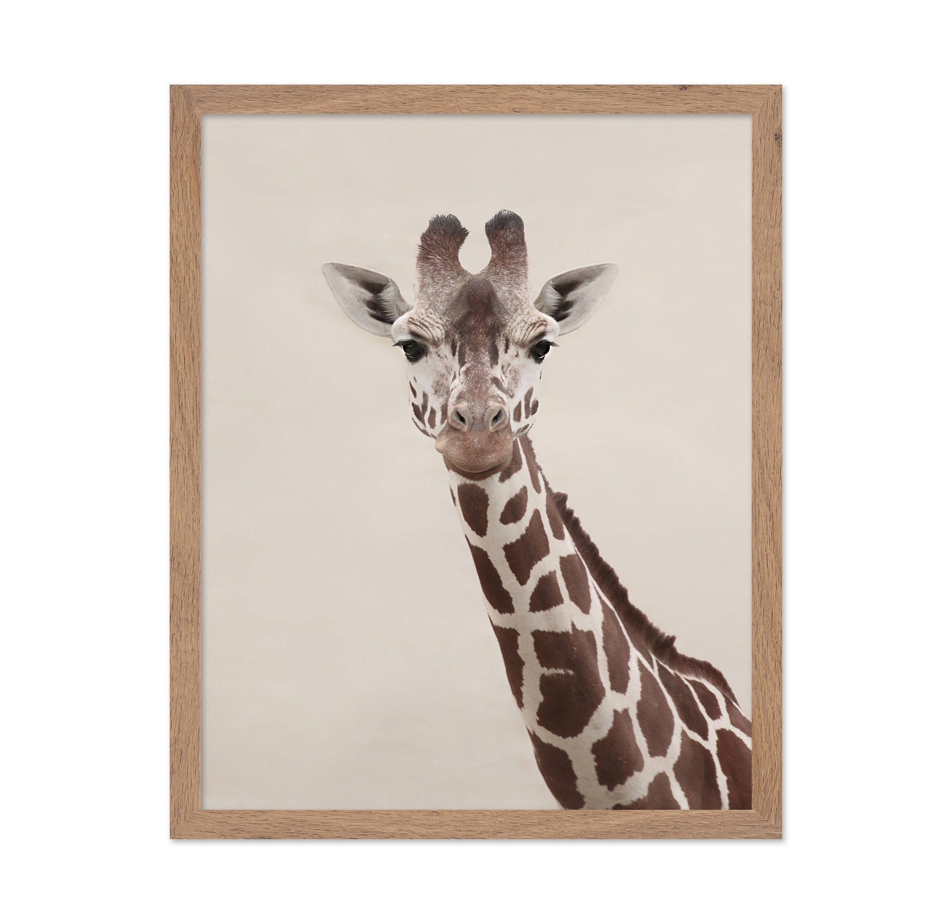 Giraffe Portrait No2