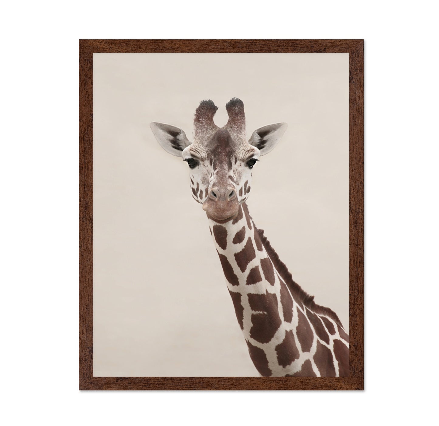 Giraffe Portrait No2