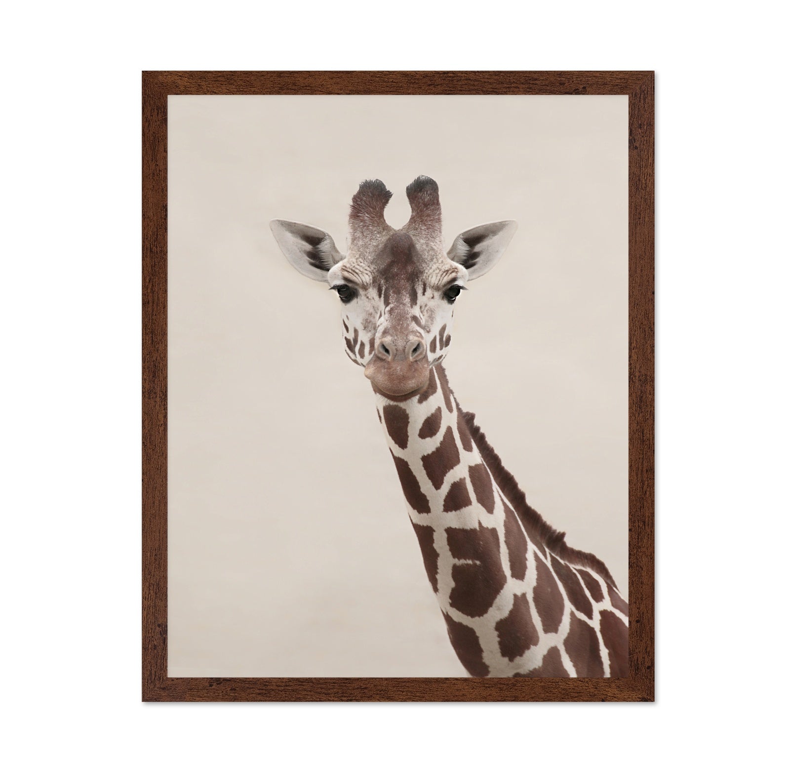 Giraffe Portrait No2