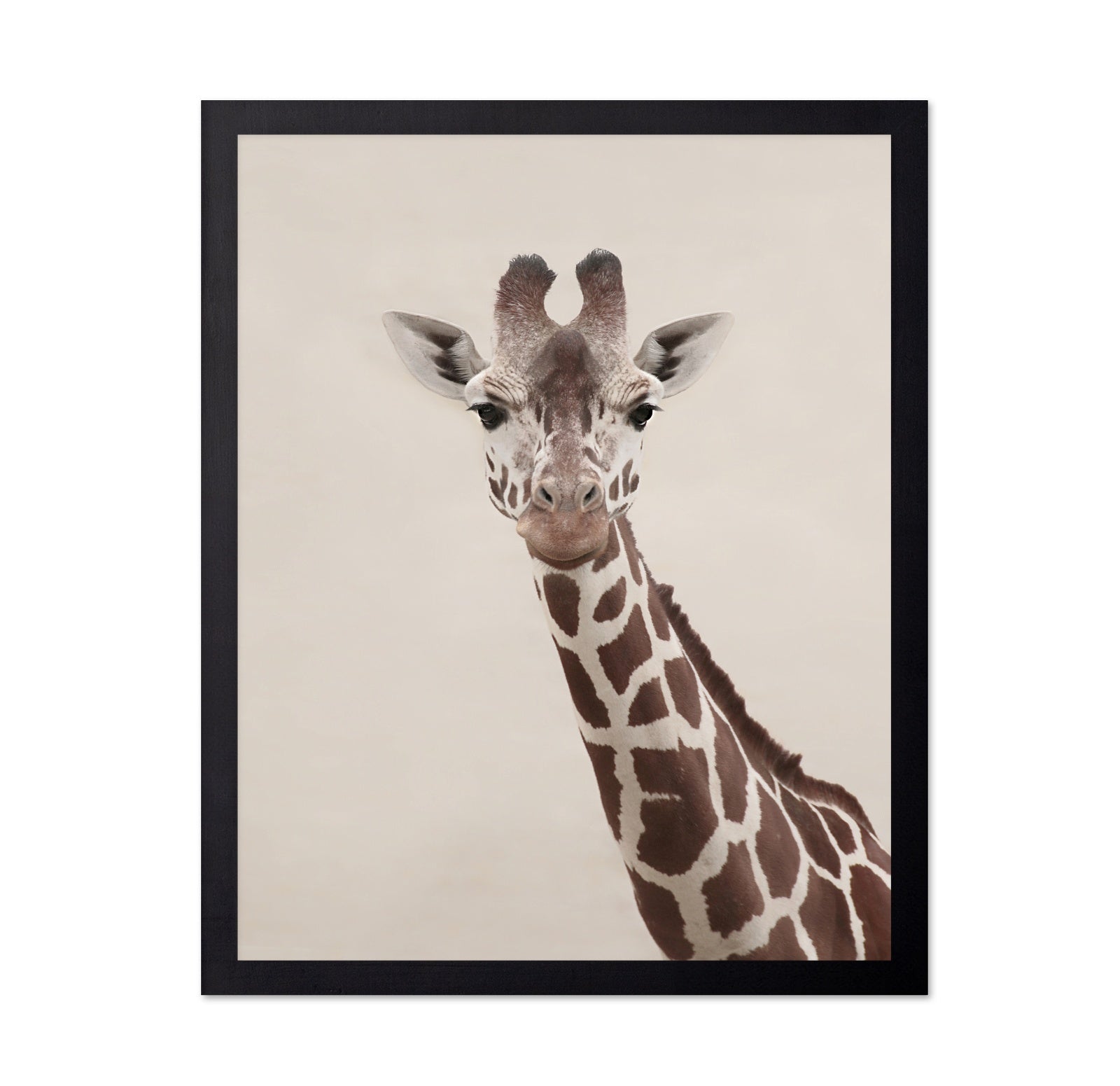 Giraffe Portrait No2