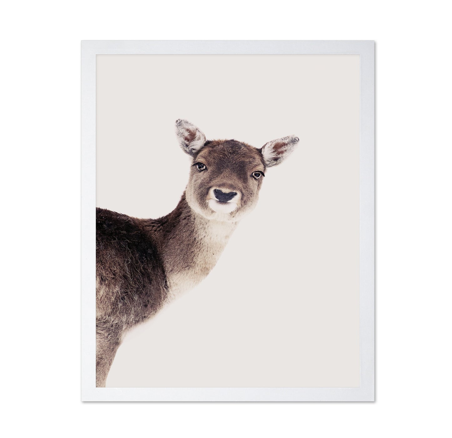 Deer Peekaboo