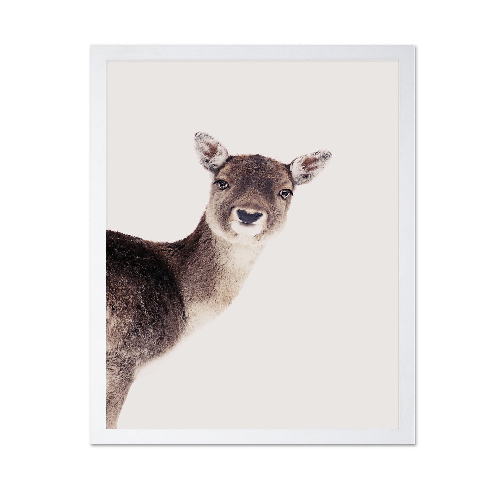 Deer Peekaboo