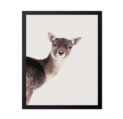 Deer Peekaboo
