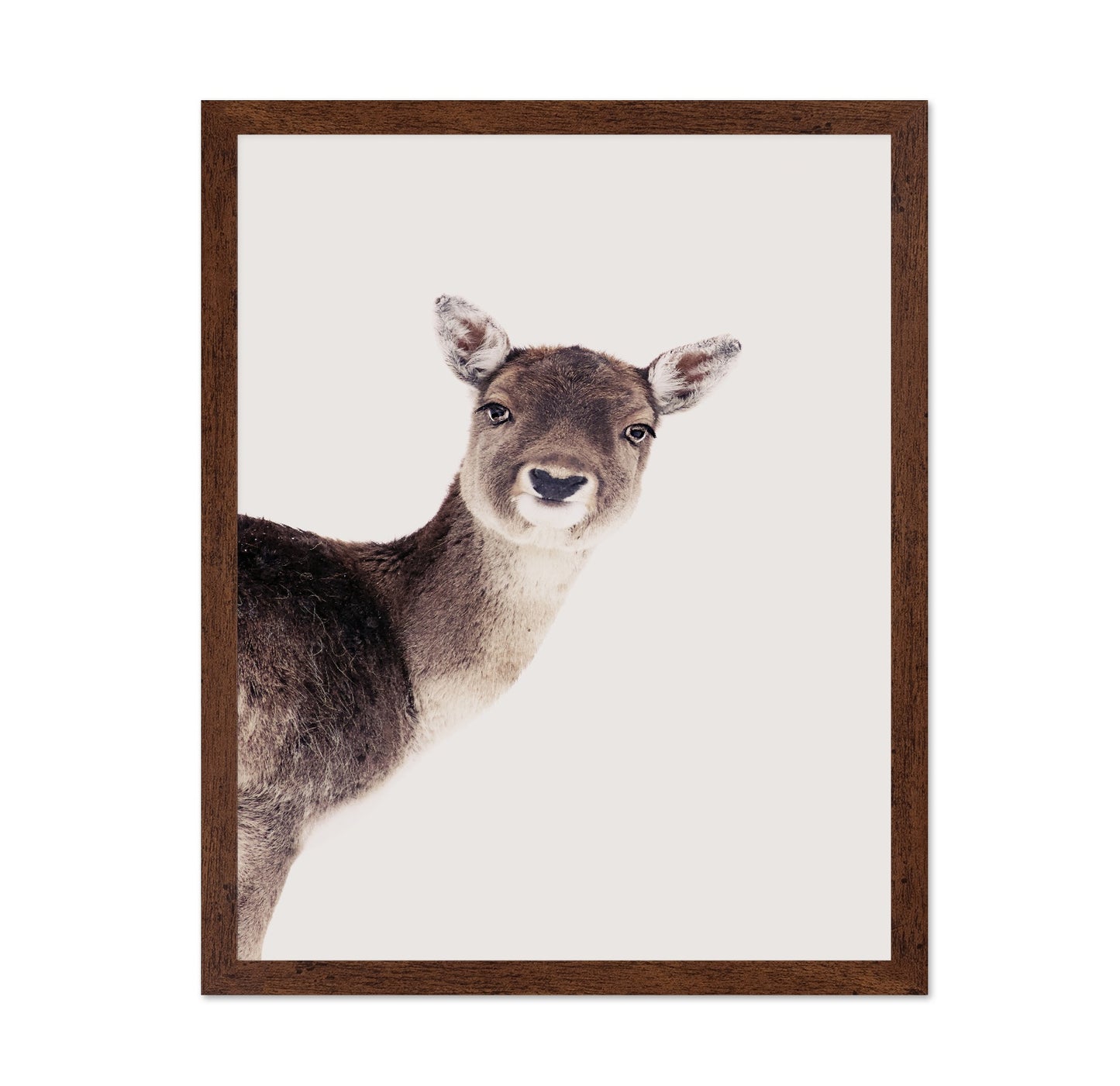 Deer Peekaboo