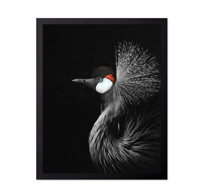 Crowned Crane Portrait