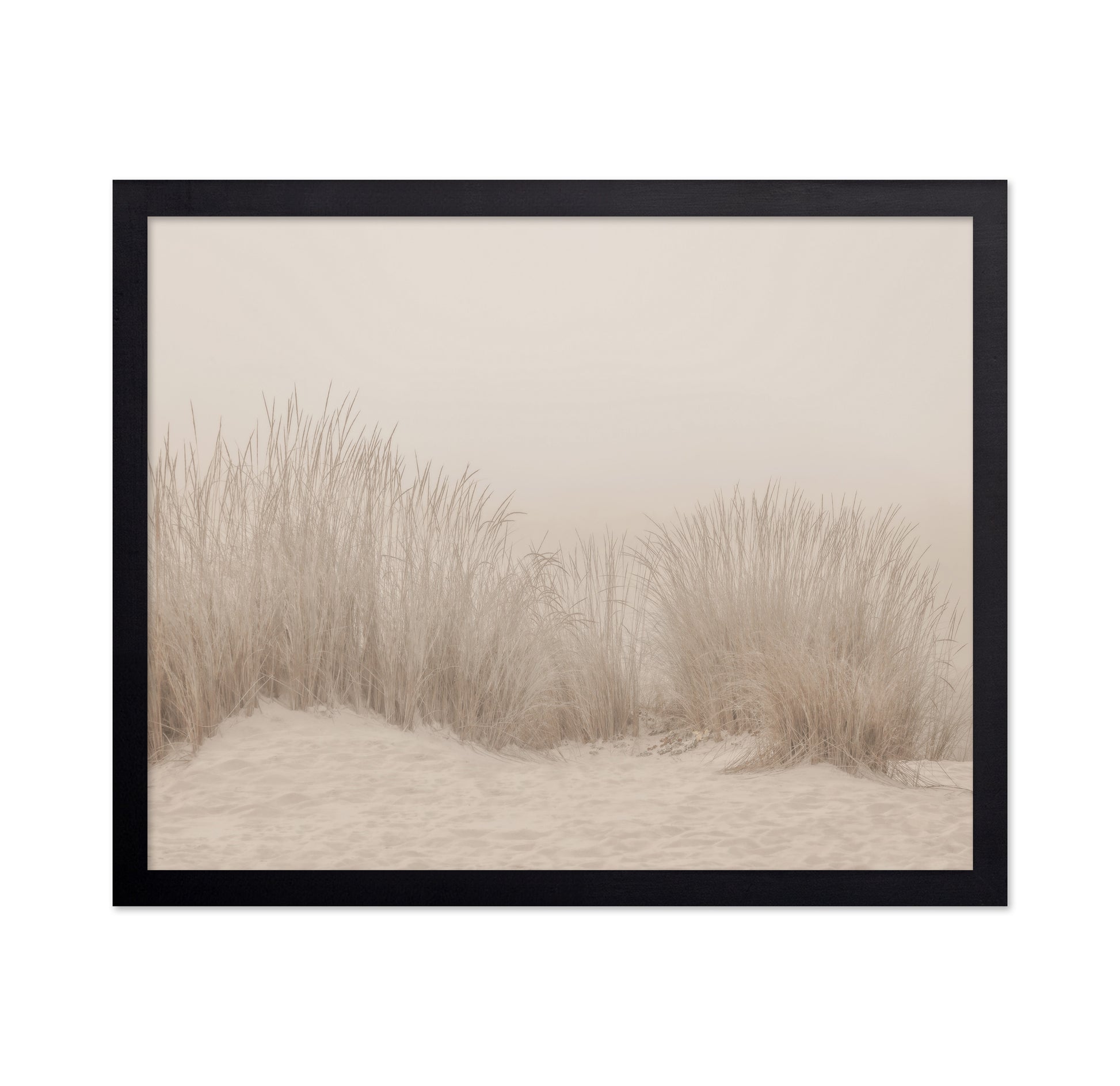Beige Dune Grass