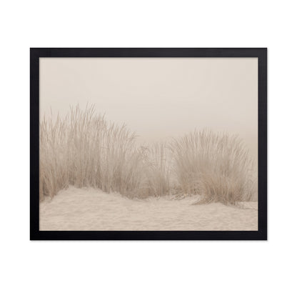 Beige Dune Grass