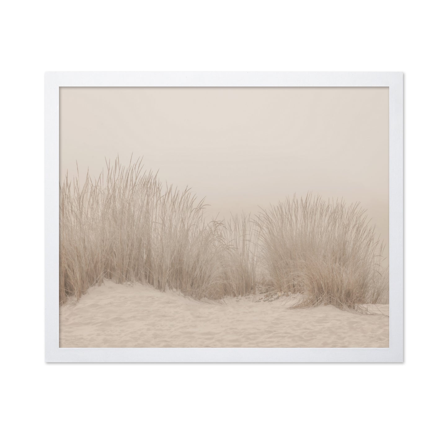 Beige Dune Grass
