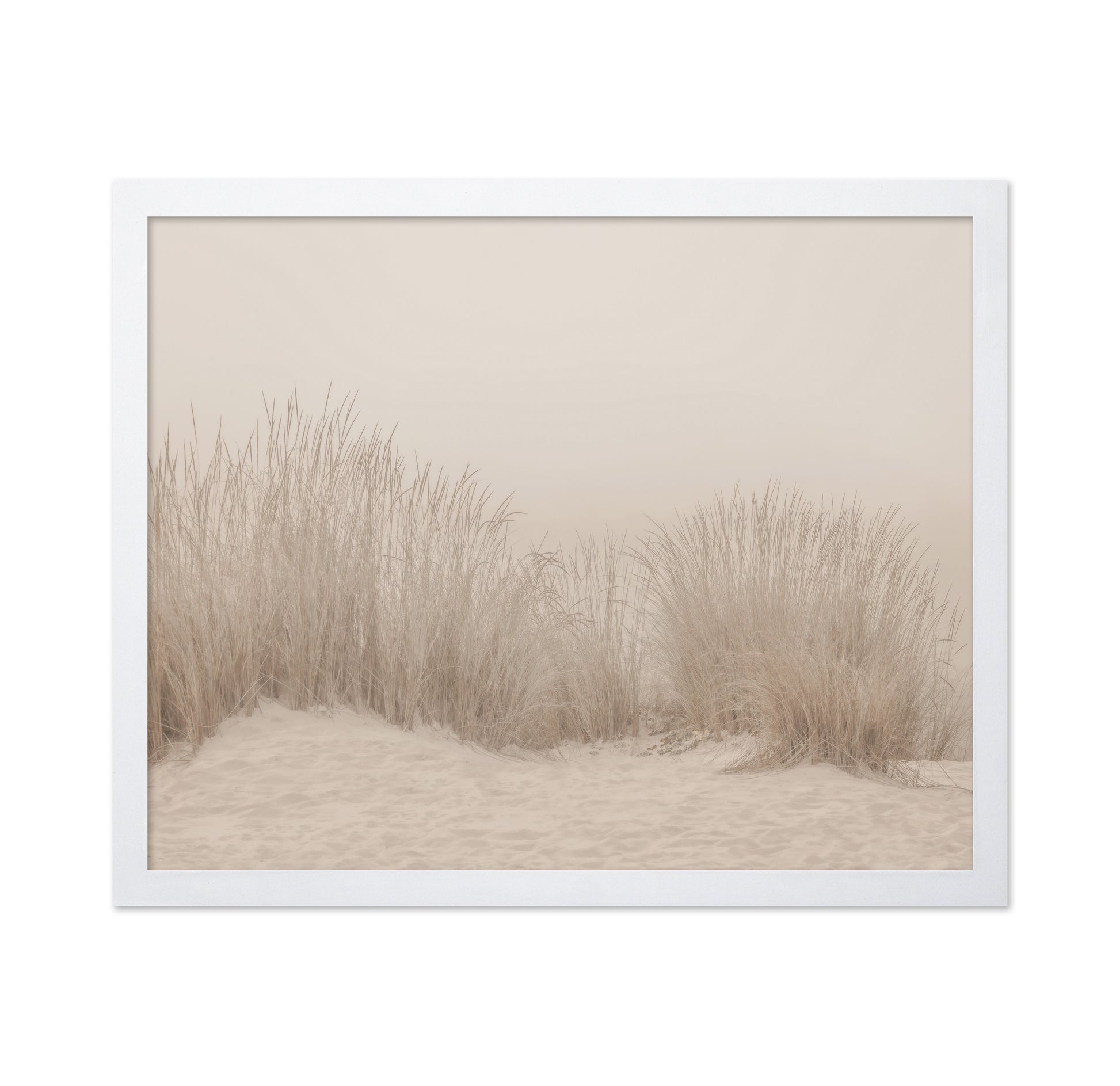 Beige Dune Grass