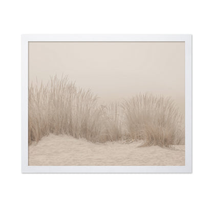 Beige Dune Grass