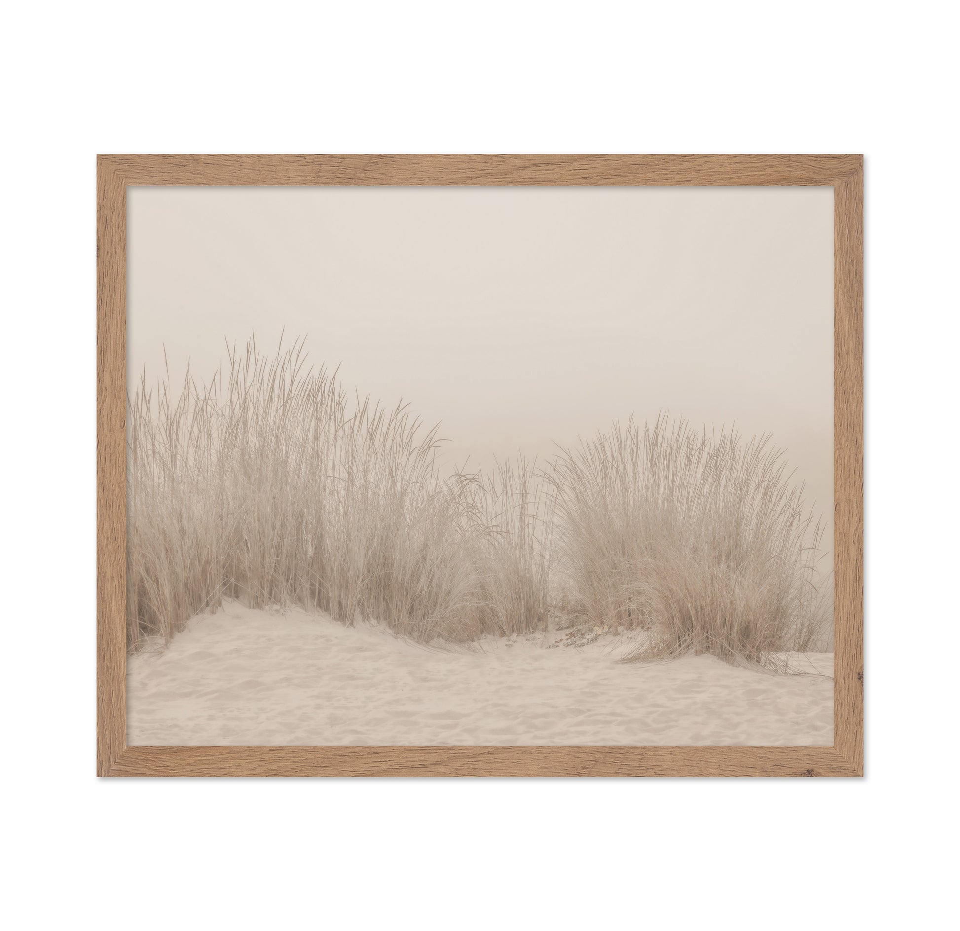 Beige Dune Grass