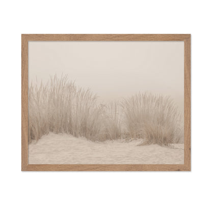 Beige Dune Grass