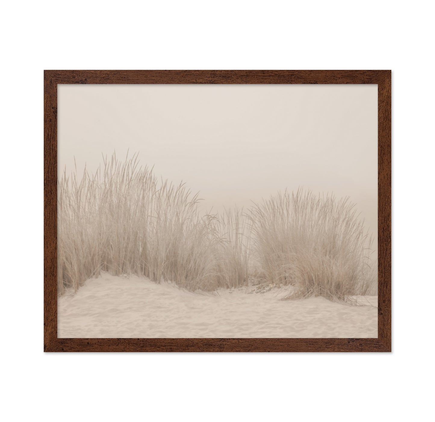Beige Dune Grass