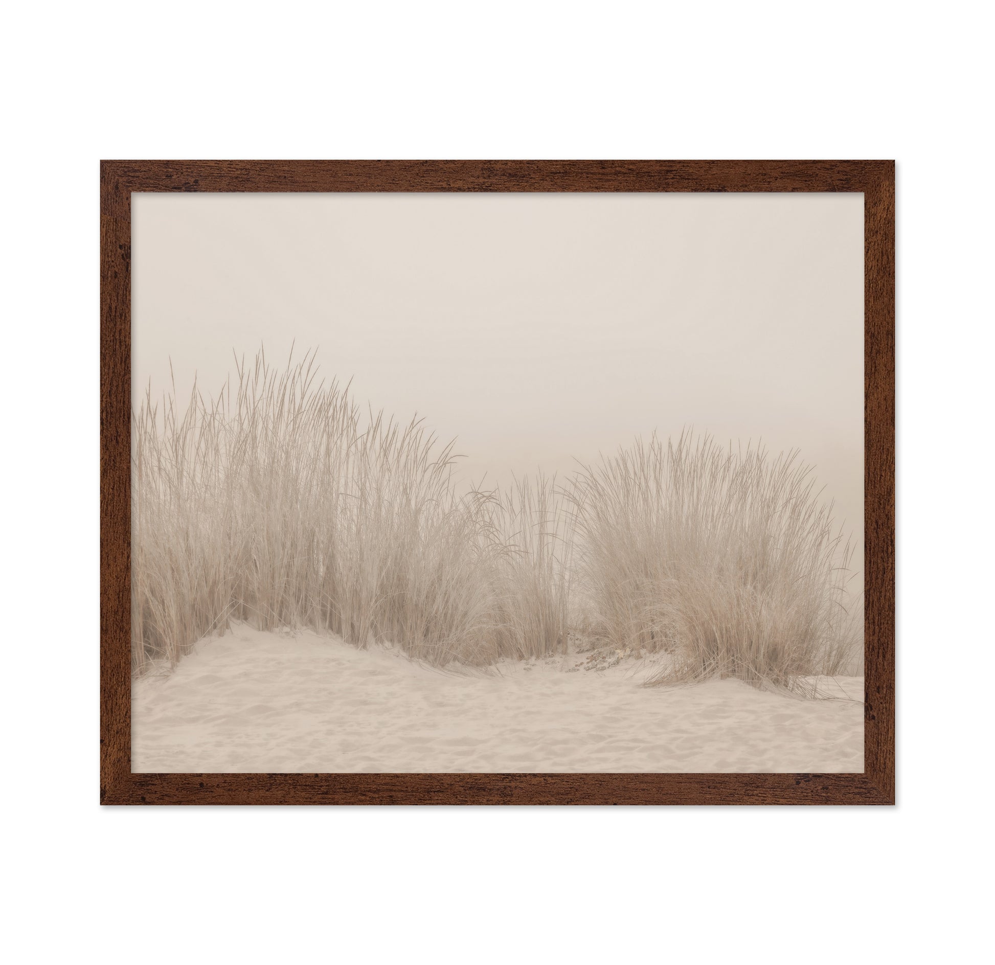 Beige Dune Grass