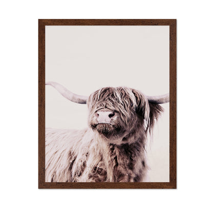 Highland Cow Portrait No1