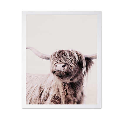 Highland Cow Portrait No1