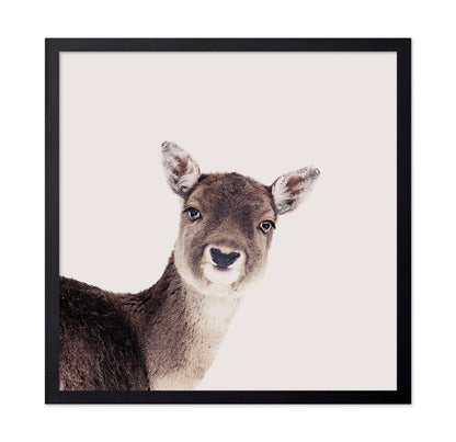 Deer Peek Portrait