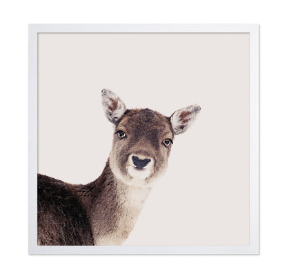 Deer Peek Portrait