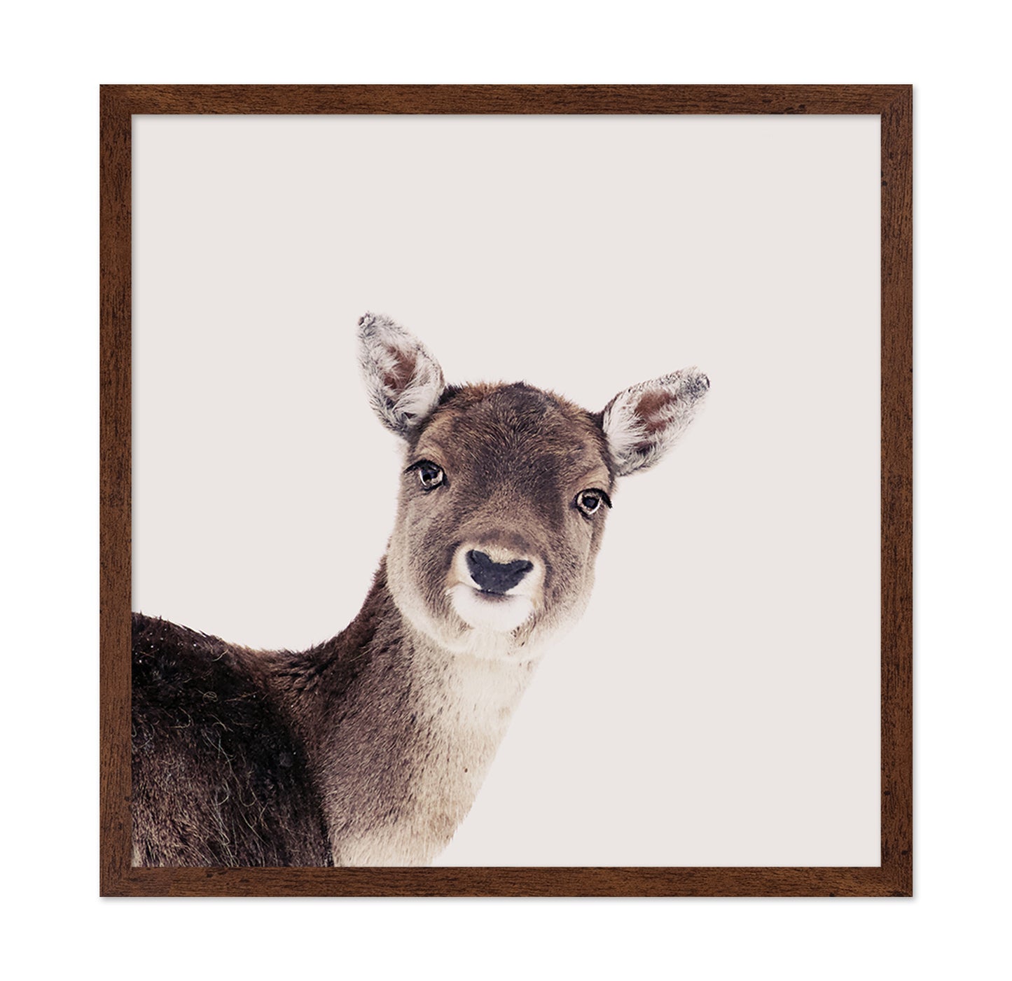Deer Peek Portrait