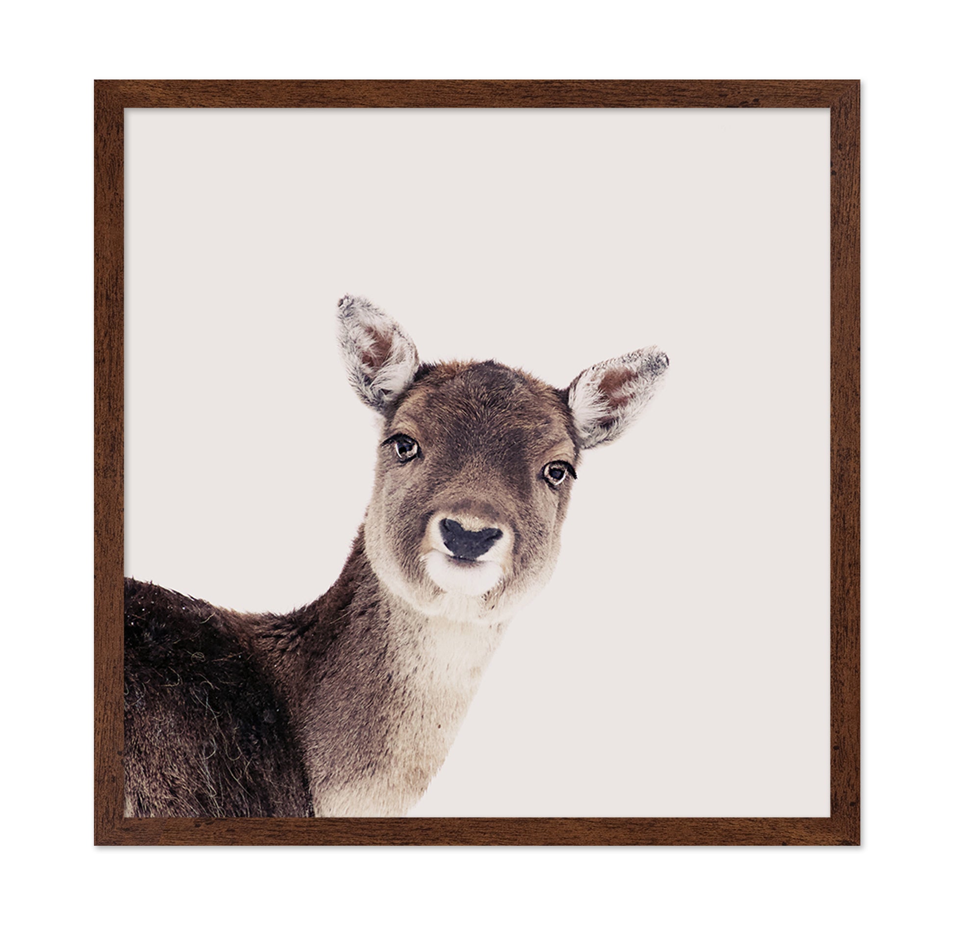 Deer Peek Portrait