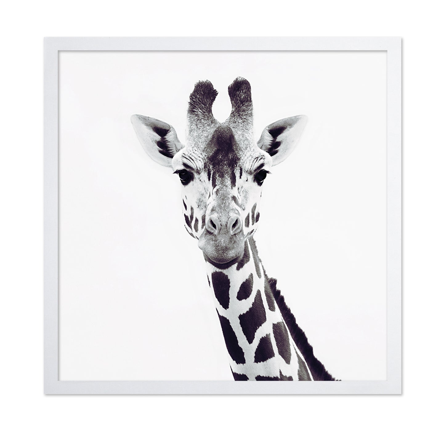 Minimal Giraffe Portrait No1