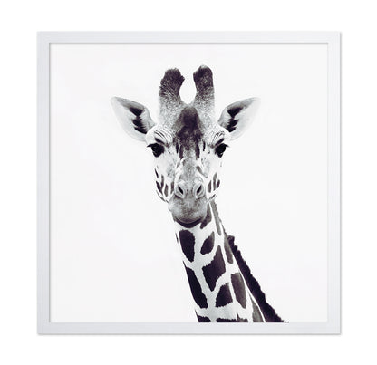 Minimal Giraffe Portrait No1